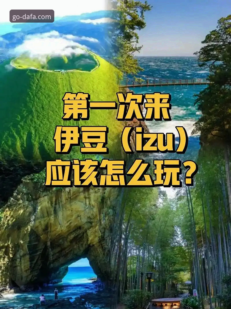 DAFA多元互动教程 新手必看:资深用户分享DAFA多元互动教程使用心得,从注册到实战一步到位